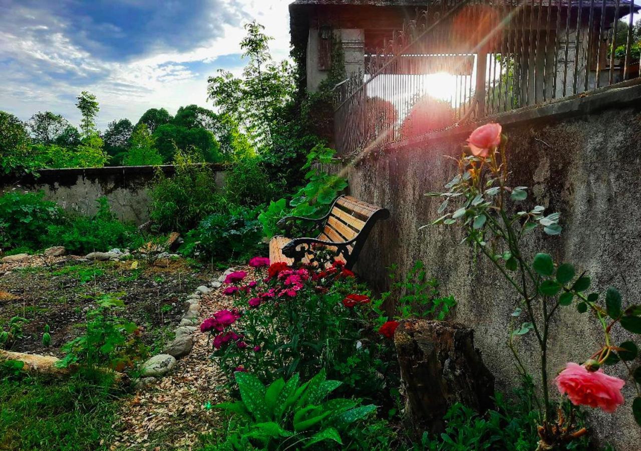 Bed and Breakfast Domaine Lou Castet Tuzaguet Esterno foto