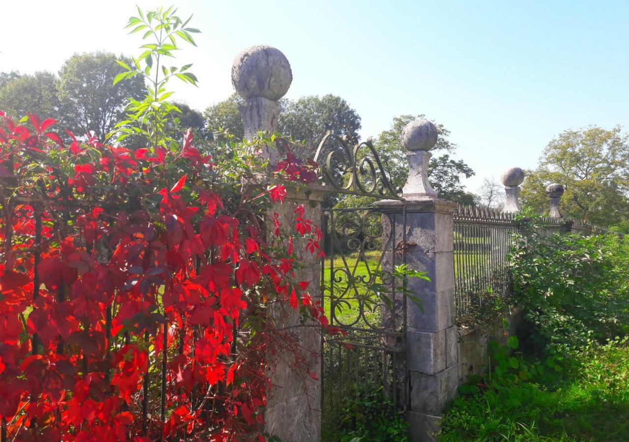 Bed and Breakfast Domaine Lou Castet Tuzaguet Esterno foto