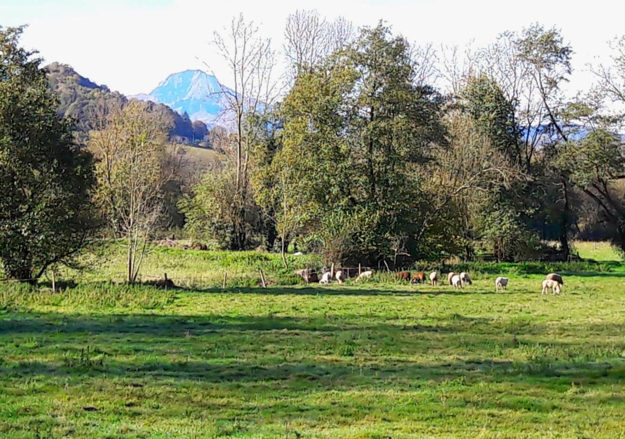 Bed and Breakfast Domaine Lou Castet Tuzaguet Esterno foto