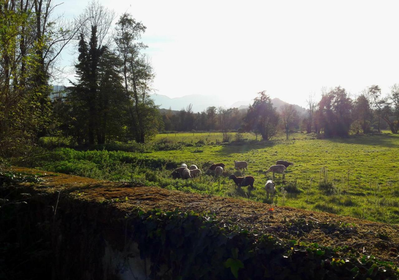 Bed and Breakfast Domaine Lou Castet Tuzaguet Esterno foto